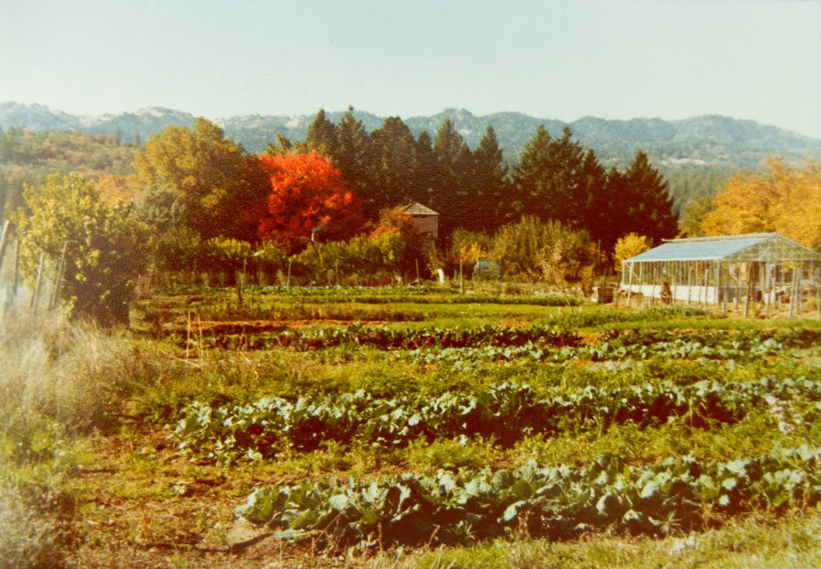 A view of Alan Chadwick's Garden in Covelo, California 1974-1978
