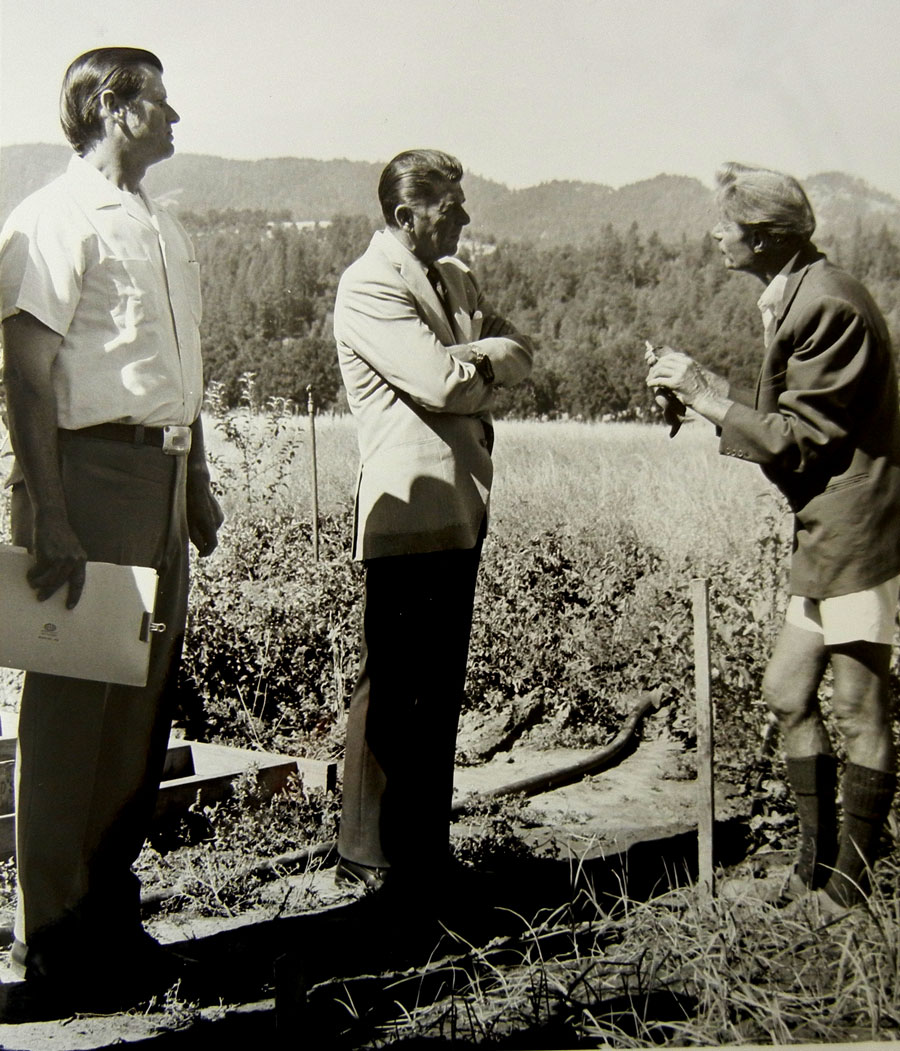 Governor Ronald Reagan visits with Alan Chadwick in the garden at Covelo