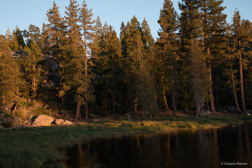 Lake side forrest at day's decline