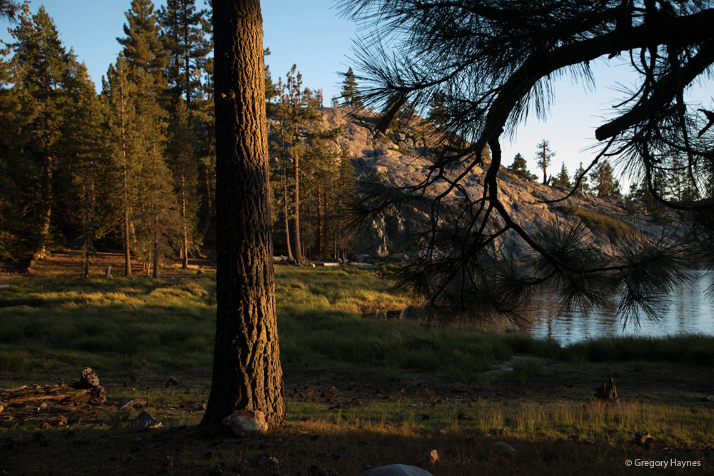 Blue Lake shoreline