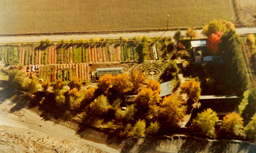 Aerial view of the Chadwick Garden at Covelo