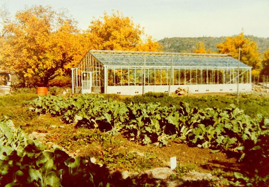 Detail of the glasshouse within the Chadwick Garden at Covelo