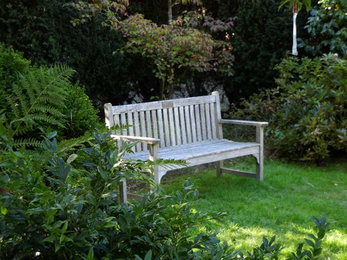 A pleasant place to sit and contemplate nature's beauty as magnified by the gardener's touch
