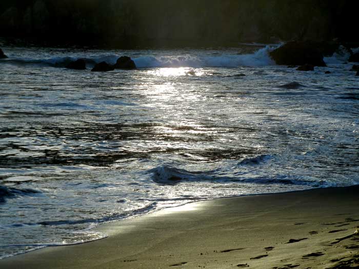The shoreline of Muir Beach in a late afternoon of October