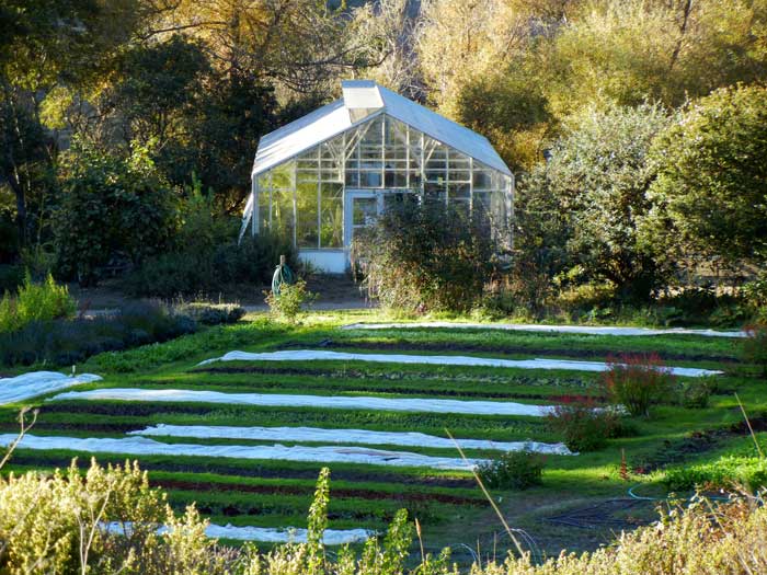 A view of the farm from the hilside where Alan Chadwick's tomb is placed 