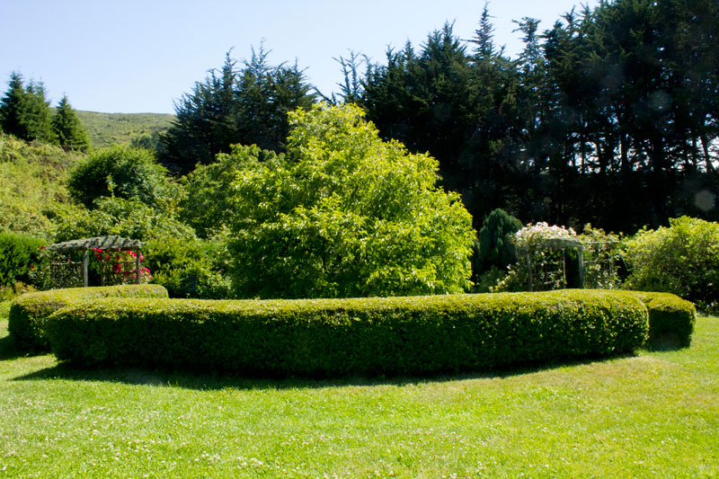 Green Gulch formal garden