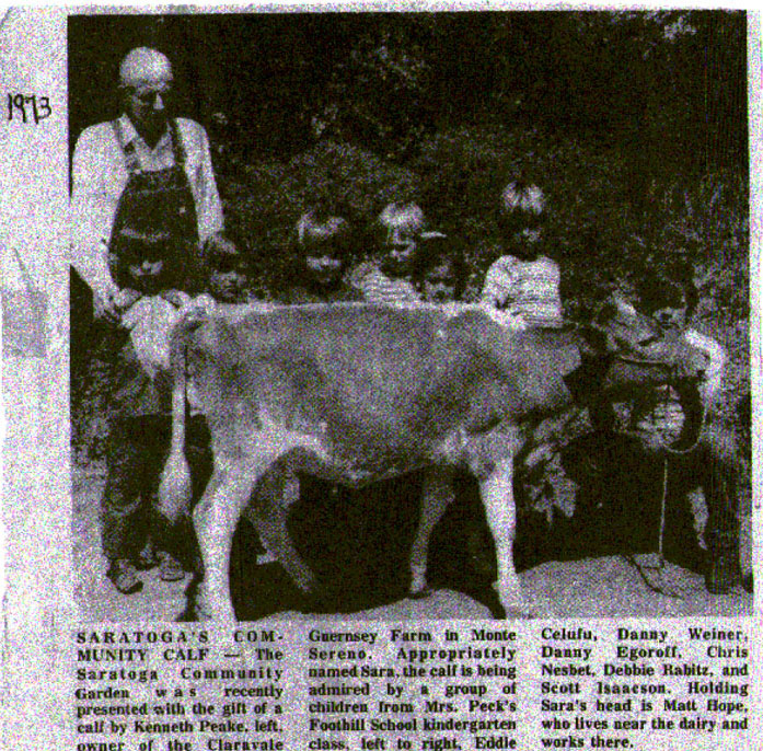 Kenneth Peake at the Saratoga Community Garden