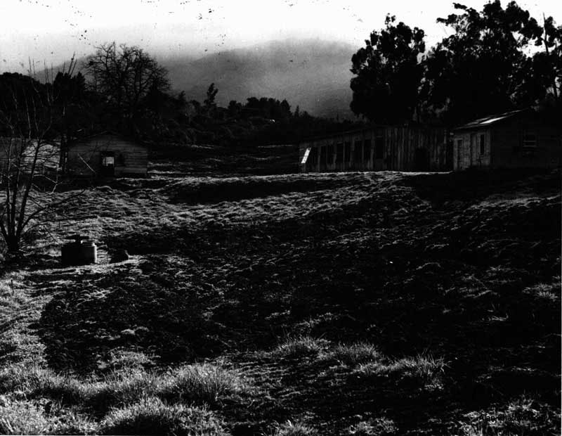 An early view of the Saratoga Community Garden