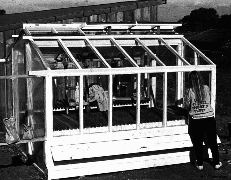 The glasshouse at the Saratoga Community Garden