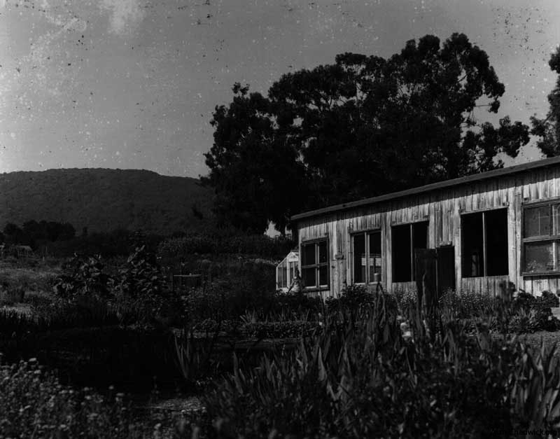 The old Odd Fellows chicken coop