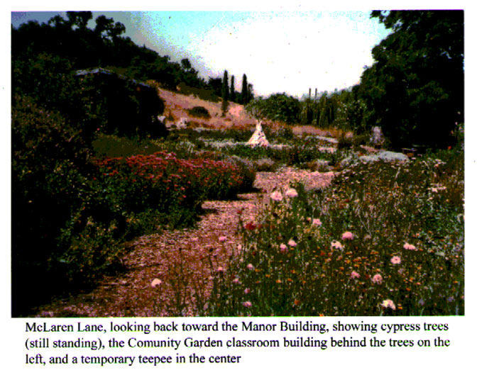 Saratoga Community Garden, flower boarder in the manor of Alan Chadwick