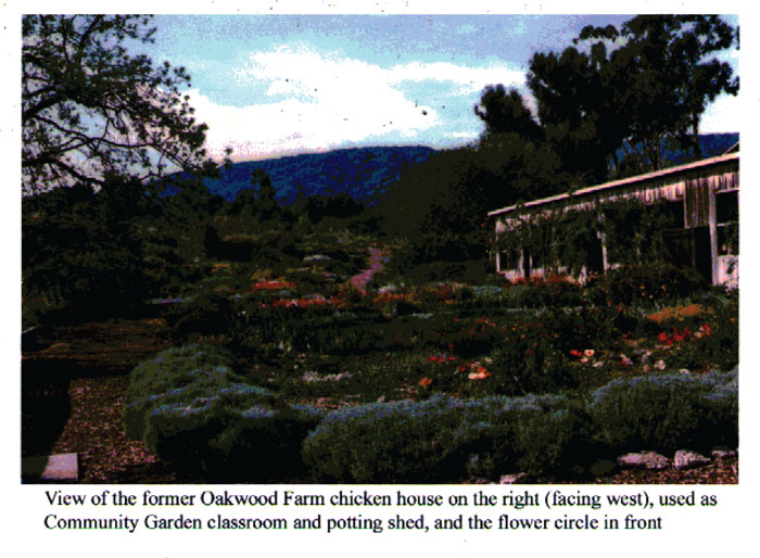 Saratoga Community Garden, flower boarder in the manor of Alan Chadwick 2