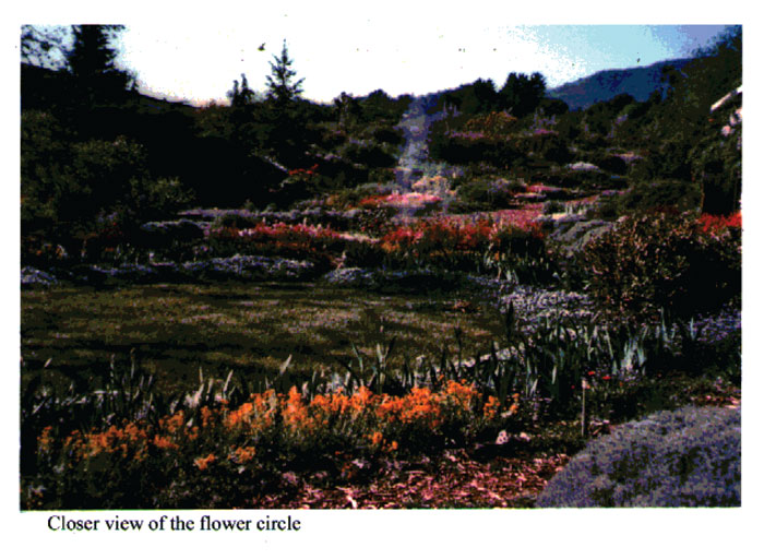 Saratoga Community Garden, flower boarder in the manor of Alan Chadwick 3