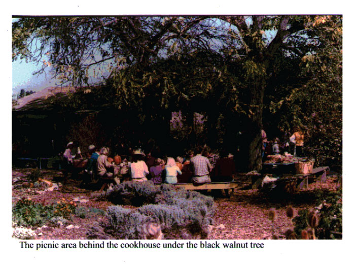 Saratoga Community Garden, apprentices at lunch