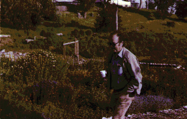 Saratoga Community Garden, flower boarders in the style of Alan Chadwick, Willis Peck