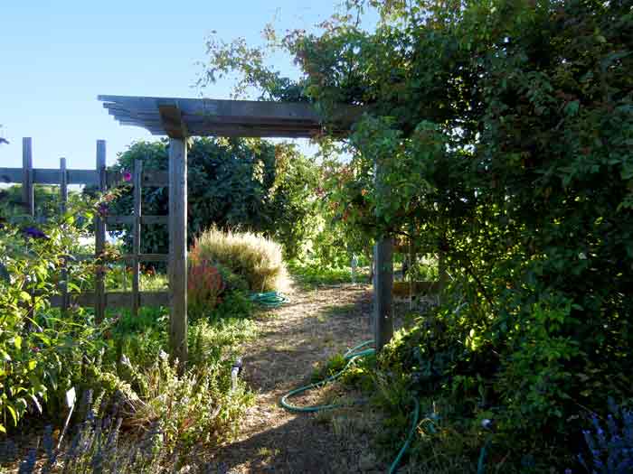 An oriental-style arbor gateway at the UCSC Agroecology farm