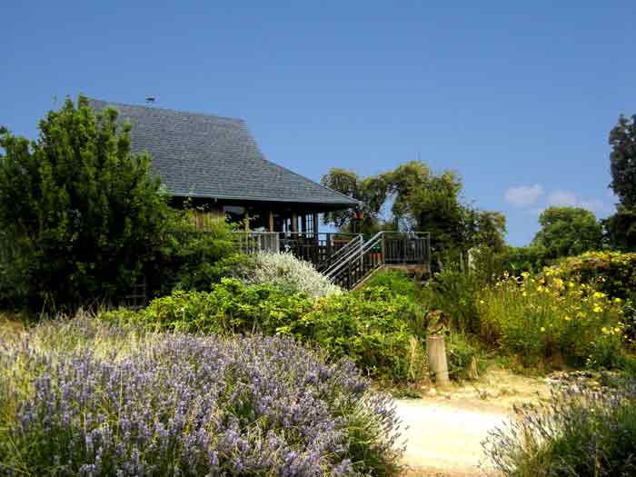 The cookhouse at the UCSC Agroecology Program