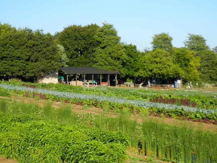 Outdoor classrooms at the farm at the UCSC Agroecology Program