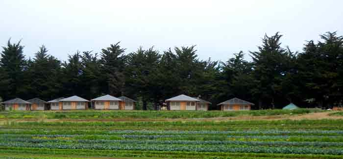 Apprentice housing cluster at the farm of the UCSC Agroecology Program