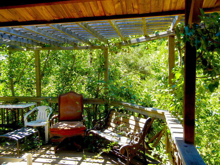 A shaded bower in the Alan Chadwick Garden