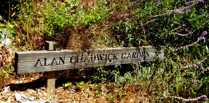 Sign announcing the location of the Alan Chadwick Garden