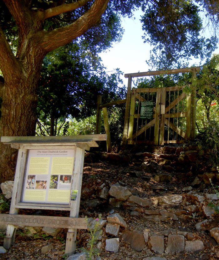 The south entrance of the Alan Chadwick Garden with kiosk and gate.