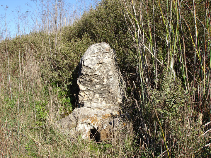 View of Alan Chadwick's tomb.