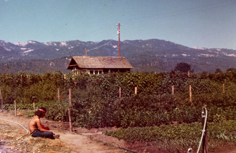 Resting Appretice at the Covelo garden of Alan Chadwick