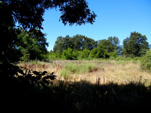 All that remains of Alan Chadwick's first garden site in Covelo (photo gh 2012)