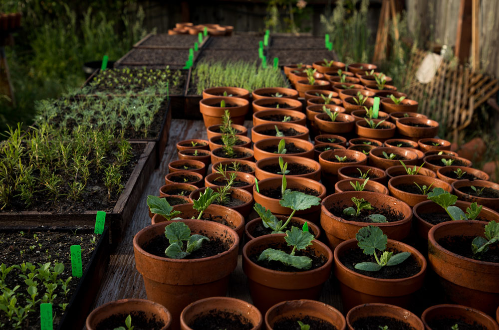 potting table