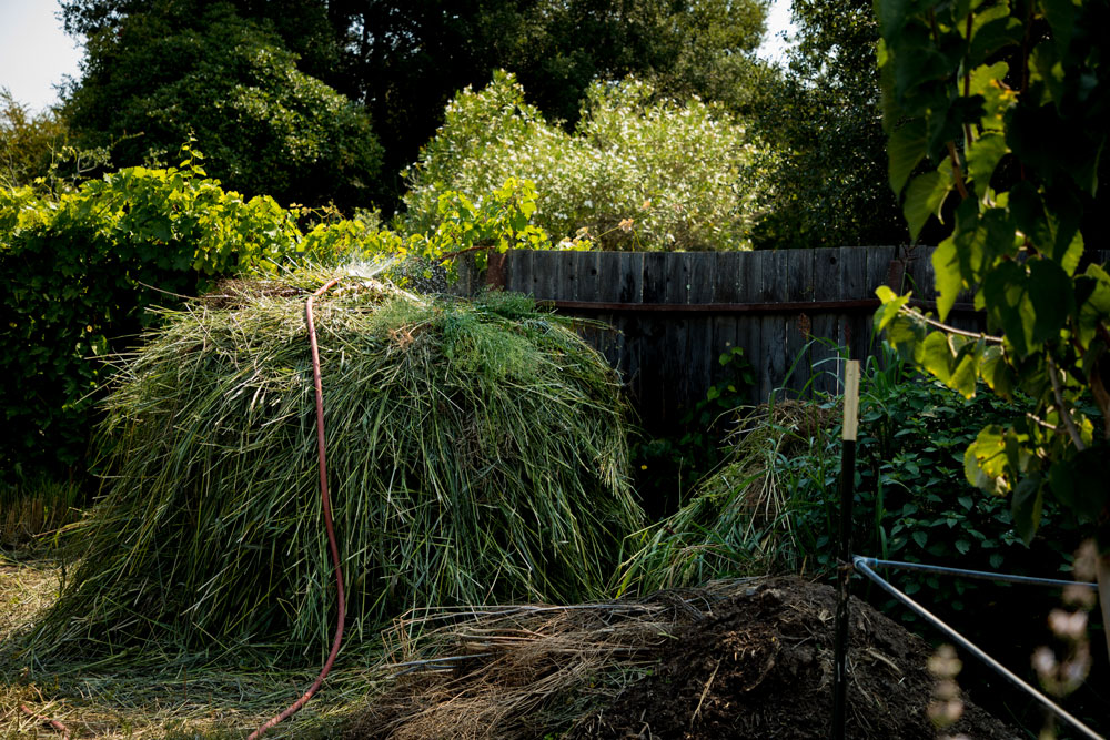 compost heap