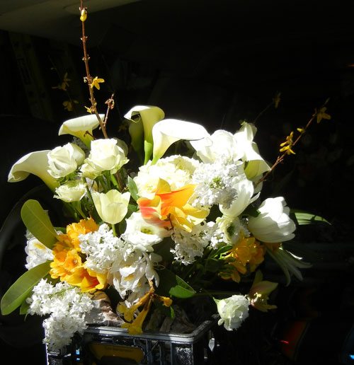 Flowers from the Garden of Nancy Lingemann