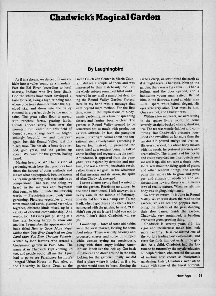 New Age Journal 1
