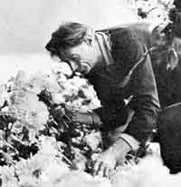 Alan Chadwick placing flowers at the kiosk at UCSC