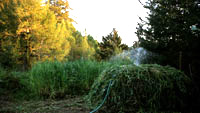 A compost pile made according to the Alan Chadwick method