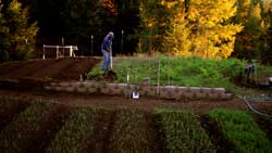 video of cultivation techniques