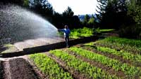 Video of fertilization techniques using raised beds