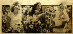 The Flower Ladies of Santa Cruz, California