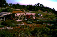 The Saratoga Community Garden