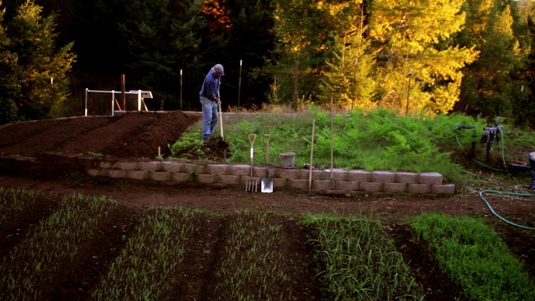 Cultivating a raised bed, from the technique videos
